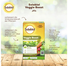 Solabiol Veggie Boost Pflanzenstärkungsmittel 250 Milliliter zur Verbesserung der Ernte und Widerstandskraft von Obst und Gemüse.