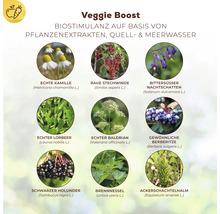 Infografik zum Veggie Boost Biostimulanz mit Darstellung verschiedener Pflanzenextrakte wie Kamille, Baldrian und Brennnessel.