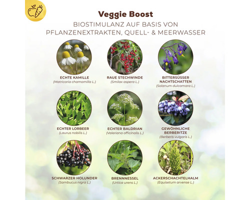 Infografik zum Veggie Boost Biostimulanz mit Darstellung verschiedener Pflanzenextrakte wie Kamille, Baldrian und Brennnessel.