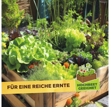 Ein bepflanztes hölzernes Hochbeet mit verschiedenen Gemüsesorten und Kräutern mit dem Hinweis Hochbeet geeignet für eine reiche Ernte.