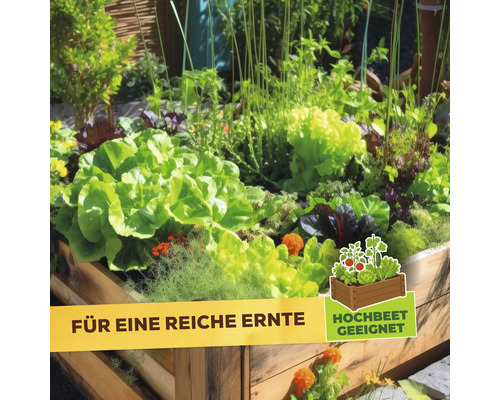 Ein bepflanztes hölzernes Hochbeet mit verschiedenen Gemüsesorten und Kräutern mit dem Hinweis Hochbeet geeignet für eine reiche Ernte.