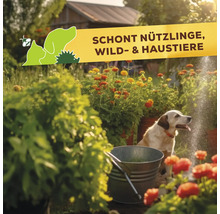 Ein sonniger Garten mit einem Hund neben einem Metallkübel und Blumenbeeten unter einem Banner zum Schutz von Nützlingen und Haustieren.