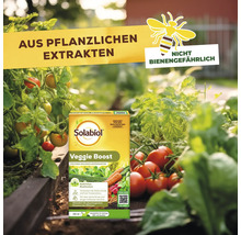 Solabiol Veggie Boost Pflanzenstärkungsmittel mit natürlichen Extrakten für einen gesunden Gemüsegarten, nicht bienengefährlich, 250 Milliliter.