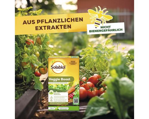 Solabiol Veggie Boost Pflanzenstärkungsmittel mit natürlichen Extrakten für einen gesunden Gemüsegarten, nicht bienengefährlich, 250 Milliliter.