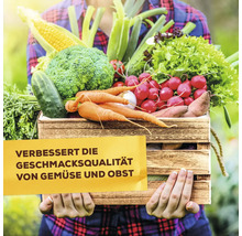 Person hält eine Holzkiste voller frischem Gemüse wie Brokkoli, Karotten, Radieschen und Salat mit Text über verbesserte Geschmacksqualität.