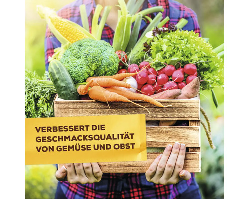 Person hält eine Holzkiste voller frischem Gemüse wie Brokkoli, Karotten, Radieschen und Salat mit Text über verbesserte Geschmacksqualität.