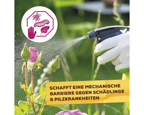 Person mit Handschuhen besprüht Rosen mit einem Mittel zur mechanischen Barriere gegen Schädlinge und Pilzkrankheiten im Garten.