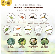 Infografik zu den Anwendungsgebieten von Solabiol Chabasit Barriere gegen verschiedene Insekten sowie Pilzerkrankungen an Pflanzen.