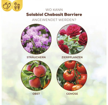 Infografik zur Anwendung von Solabiol Chabasit Barriere bei Sträuchern, Zierpflanzen, Obst und Gemüse im Garten.