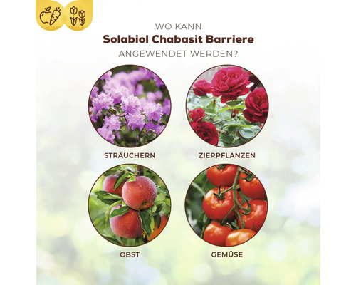 Infografik zur Anwendung von Solabiol Chabasit Barriere bei Sträuchern, Zierpflanzen, Obst und Gemüse im Garten.
