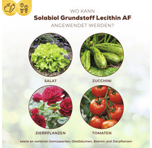 Anwendungshinweise für Solabiol Lecithin AF bei Salat, Zucchini, Zierpflanzen und Tomaten.