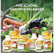 Eine Auswahl an Solabiol Pflanzenschutzmitteln gegen Schädlinge und Pilze vor einem Korb mit frischem Gemüse zur Förderung gesunder Pflanzen.