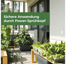 Balkon mit verschiedenen Pflanzen in Töpfen und Pflanzbehältern auf Holztischen als Anwendungsszenario für Pflanzenschutzmittel.