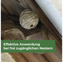Wespenwabe an einer Holzkonstruktion mit dem Text Effektive Anwendung bei frei zugänglichen Nestern
