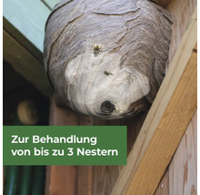 Wespennest unter einem Dachvorsprung mit herumfliegenden Wespen, Textoverlay weist auf Behandlungsmöglichkeit von bis zu 3 Nestern hin