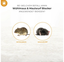 Infografik zur Anwendung eines Wühlmaus und Maulwurf Blockers gegen Wühlmäuse und Maulwürfe im Garten.