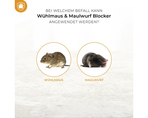 Infografik zur Anwendung eines Wühlmaus und Maulwurf Blockers gegen Wühlmäuse und Maulwürfe im Garten.