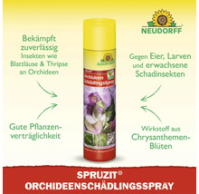 Neudorff Spruzit Orchideen Schädlingsspray zur Bekämpfung von Schädlingen wie Blattläusen an Orchideen mit Wirkstoff aus Chrysanthemenblüten.