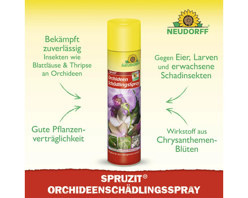 Neudorff Spruzit Orchideen Schädlingsspray zur Bekämpfung von Schädlingen wie Blattläusen an Orchideen mit Wirkstoff aus Chrysanthemenblüten.