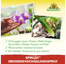 Neudorff Spruzit Orchideenschädlingsspray zur Bekämpfung von Schädlingen an Pflanzen mit Anwendungsfotos und Neudorff Logo.