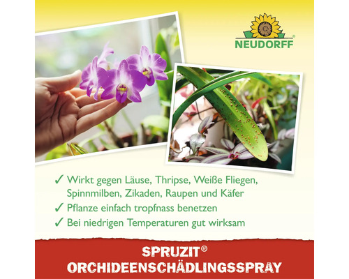 Neudorff Spruzit Orchideenschädlingsspray zur Bekämpfung von Schädlingen an Pflanzen mit Anwendungsfotos und Neudorff Logo.