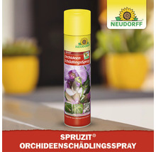 Neudorff Spruzit Orchideen Schädlingsspray zur Bekämpfung von Schädlingen an Orchideen