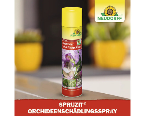 Neudorff Spruzit Orchideen Schädlingsspray zur Bekämpfung von Schädlingen an Orchideen