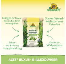 Neudorff Azet Buxus und Ilex Dünger 1,75 Kilogramm zur Stärkung von Buchsbaum und immergrünen Pflanzen mit Mykorrhiza und Sofort Langzeitwirkung