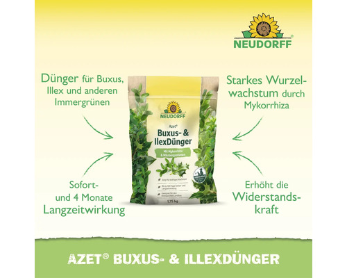 Neudorff Azet Buxus und Ilex Dünger 1,75 Kilogramm zur Stärkung von Buchsbaum und immergrünen Pflanzen mit Mykorrhiza und Sofort Langzeitwirkung