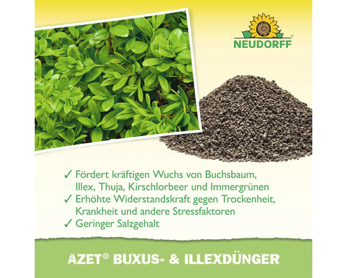 Neudorff Azet Buxus und Illex Dünger für kräftigen Wuchs von Buchsbaum, Illex, Thuja und Kirschlorbeer mit erhöhter Widerstandskraft.