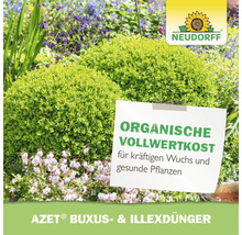 Neudorff Azet Buxus und Illex Duenger für kraeftigen Wuchs und gesunde Pflanzen in einem Garten mit Buchsbaumkugeln und Blueten.