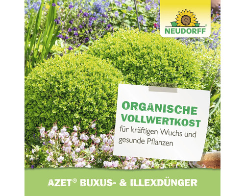 Neudorff Azet Buxus und Illex Duenger für kraeftigen Wuchs und gesunde Pflanzen in einem Garten mit Buchsbaumkugeln und Blueten.