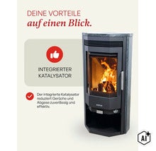 Justus Kaminofen mit integriertem Katalysator zur Reduzierung von Gerüchen und Abgasen bei brennendem Holzfeuer. (Image AI modified or generated)