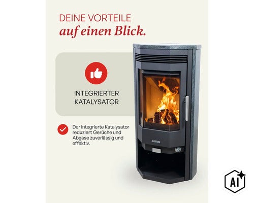 Justus Kaminofen mit integriertem Katalysator zur Reduzierung von Gerüchen und Abgasen bei brennendem Holzfeuer. (Image AI modified or generated)