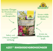 Neudorff Azet Rhododendrondünger 1,75 kg Sack mit Sofort- und Langzeitwirkung zur Förderung von Blüten bei Rhododendren, Kamelien und Bougainvilleen.