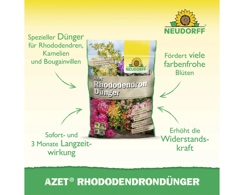 Neudorff Azet Rhododendrondünger 1,75 kg Sack mit Sofort- und Langzeitwirkung zur Förderung von Blüten bei Rhododendren, Kamelien und Bougainvilleen.