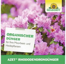 Neudorff Azet Rhododendrondünger als organischer Dünger für Moorbeet- und Heidepflanzen vor einem blühenden Rhododendron.