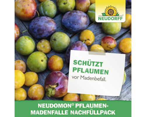 Neudomon Pflaumen Madenfalle Nachfüllpack zum Schutz von Pflaumen vor Madenbefall mit Neudorff Logo.