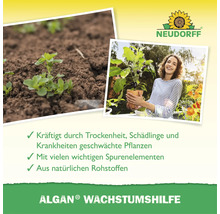 Neudorff Algan Wachstumshilfe zur Stärkung von Pflanzen durch Trockenheit, Schädlinge und Krankheiten mit natürlichen Rohstoffen und Spurenelementen.