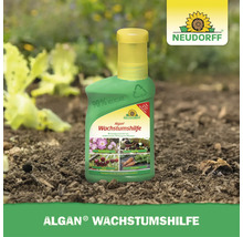 Neudorff Algan Wachstumshilfe aus Algenextrakt für Pflanzen in der Flasche zur Förderung der Vitalität und Pflanzenentwicklung.