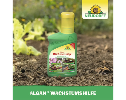 Neudorff Algan Wachstumshilfe aus Algenextrakt für Pflanzen in der Flasche zur Förderung der Vitalität und Pflanzenentwicklung.