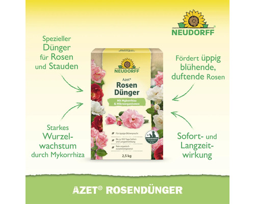 Neudorff Azet Rosendünger Packung 2,5 Kilogramm mit Mykorrhiza und Mikroorganismen für Rosen und Stauden mit Sofort und Langzeitwirkung.