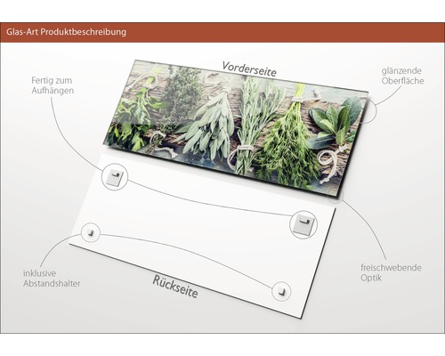 Glasbild mit Kräutermotiv, glänzender Oberfläche und Abstandshalter