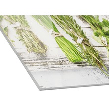 Küchenrückwand aus Acrylglas mit Kräutermotiv