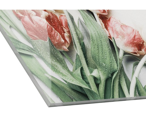 Nahaufnahme eines Acrylglasbildes mit Tulpenmotiv und Wassertropfen