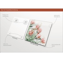 Glasbild mit Tulpenmotiv, inklusive Wandhalterung und Abstandshalter