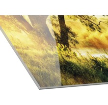 Acrylglasbild mit Landschaftsmotiv