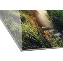 Acrylglasbild mit Motiv eines Baches im Gras