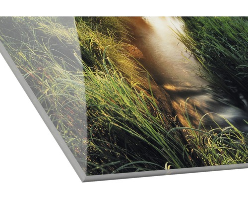Acrylglasbild mit Motiv eines Baches im Gras
