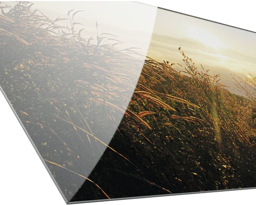 Nahaufnahme einer Acrylglasplatte mit Landschaftsmotiv